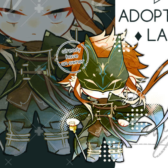 カモメ 海音さん (FB)